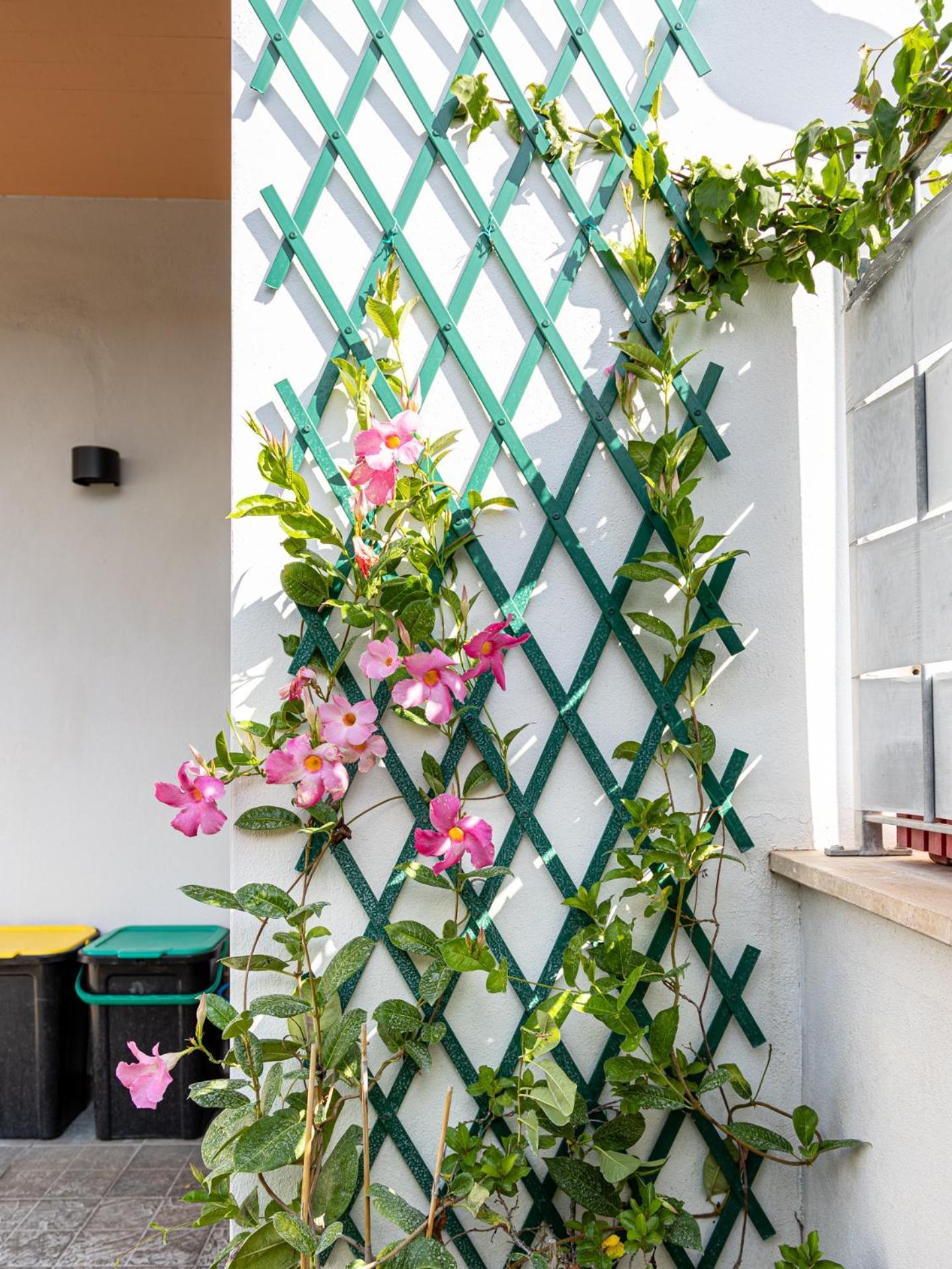 Mrb Real Estate - Maison Ludovica - Monolocale Moderno Con Giardino Frattocchie